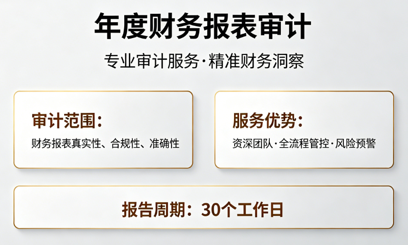 年度财务报表审计