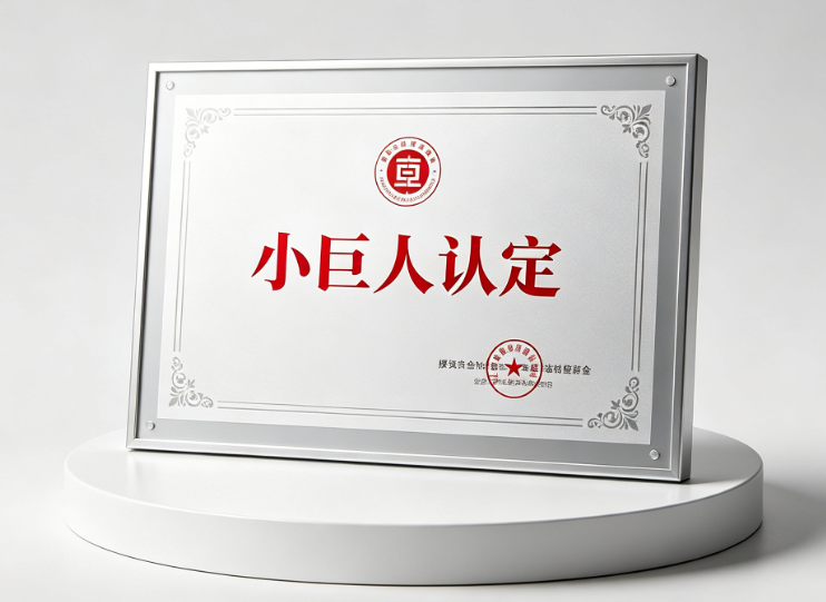 "小巨人"认定